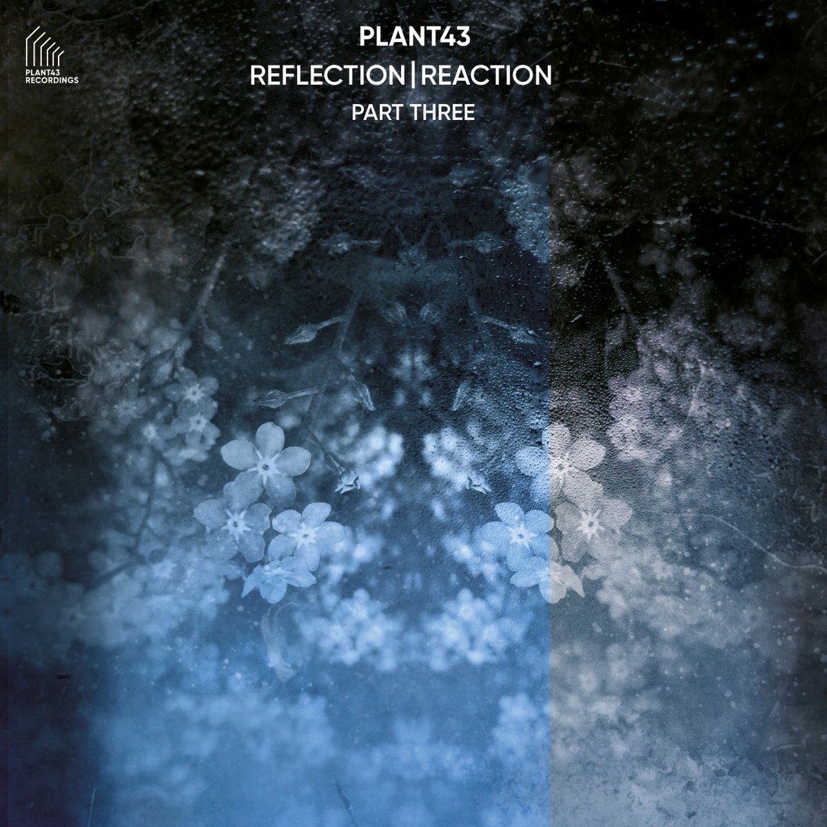 Plant 43 - Reflection/Reaction Parts 1, 2, 3 (Plant43 Recordings) micro reviewed on ye blog

machinesarefunky.blogspot.com/2023/08/plant-…

<a href="/plant43_/">Plant43</a>