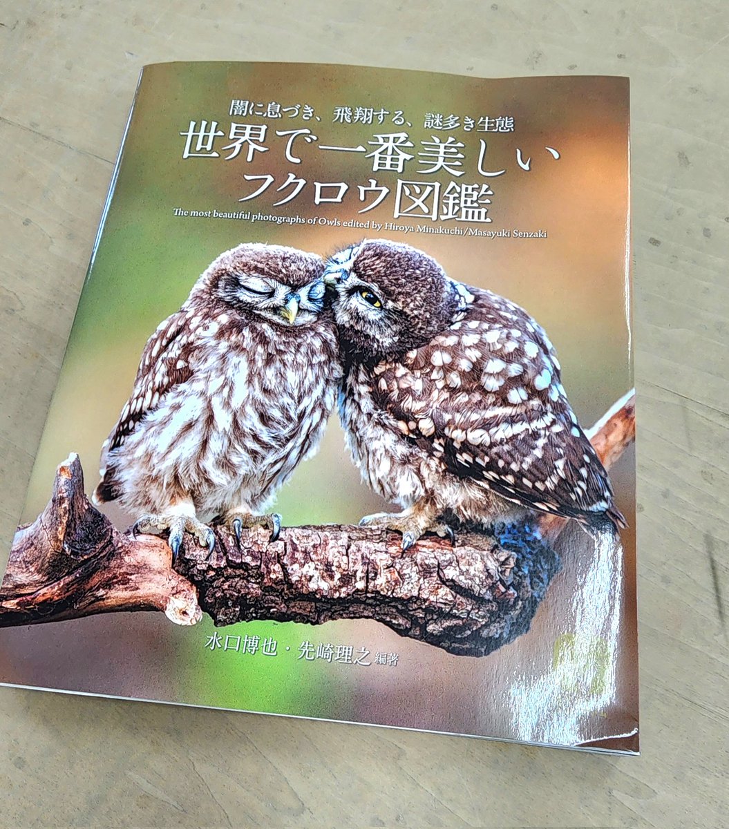 とても素敵な本を頂戴した #世界で一番美しいフクロウ図鑑