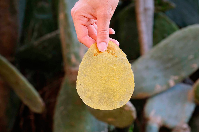 designboom's tweet photo. orange, aloe vera, and plant seeds make up o-sow biodegradable toilet paper alternative    https://t.co/qktE6tjaOx https://t.co/kUK0azrTLs