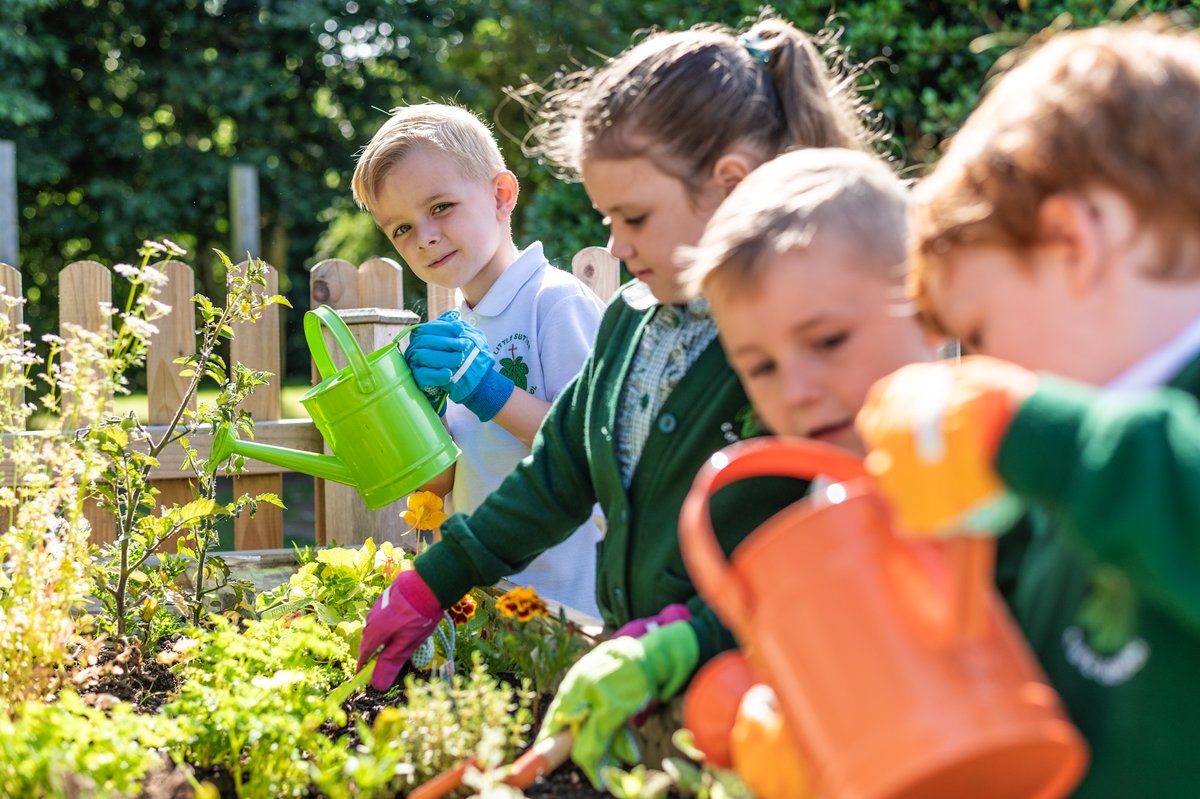 Redrowplc's tweet photo. #School may be just out for summer but pupils in #Ledsham #Cheshire enjoyed a great last half term growing their own vegetables with equipment provided by our NW division 👉 https://t.co/pSuK8cUwT8 https://t.co/IXPuXSOjlJ