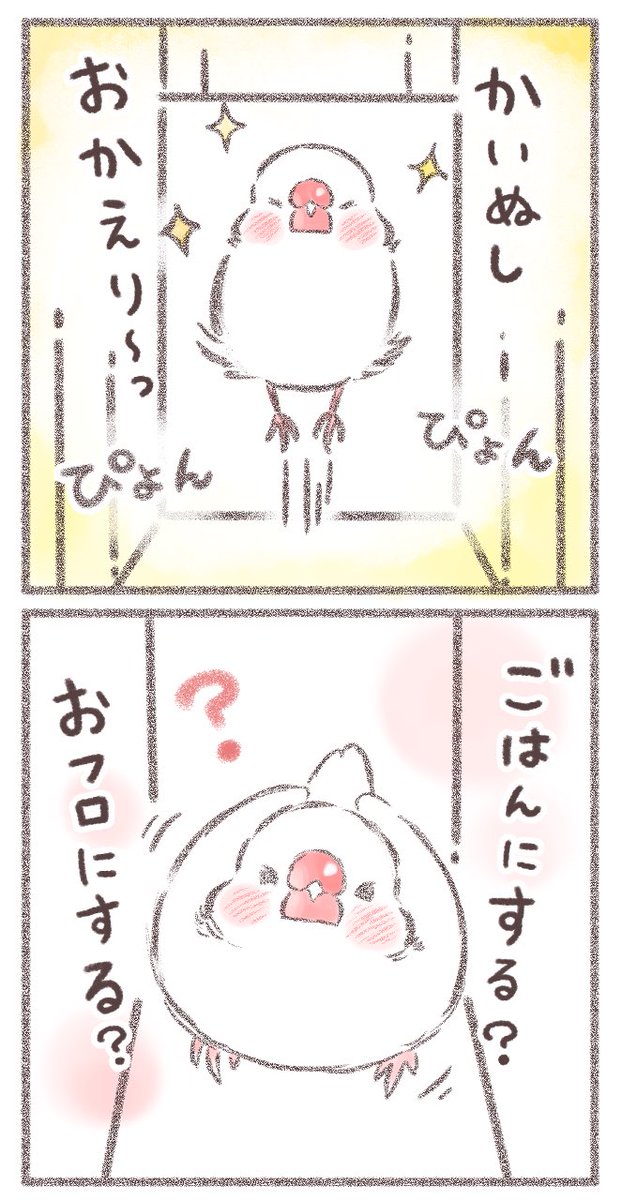 おかえりなさい(1/2)  #文鳥 #漫画が読めるハッシュタグ