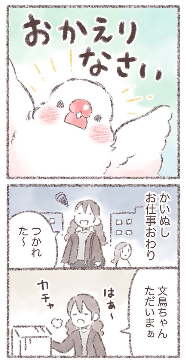 おかえりなさい(1/2)  #文鳥 #漫画が読めるハッシュタグ