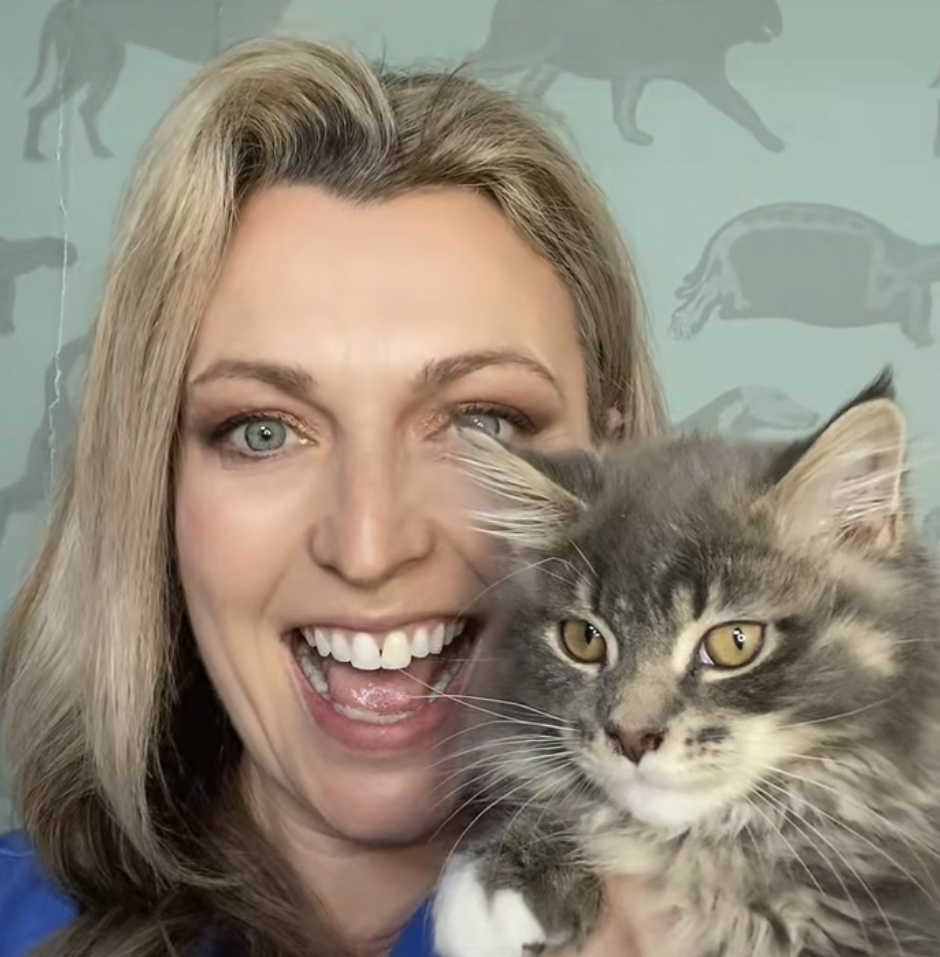 Veterinary Marketing Association tweet media