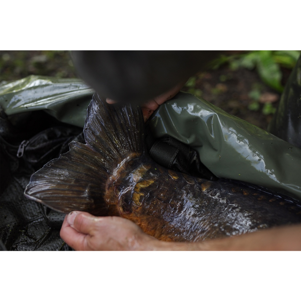 Some carp are just different gravy...

A snippet of some BTS 'going-ons' from recent weeks 🐋

#StickyBaits