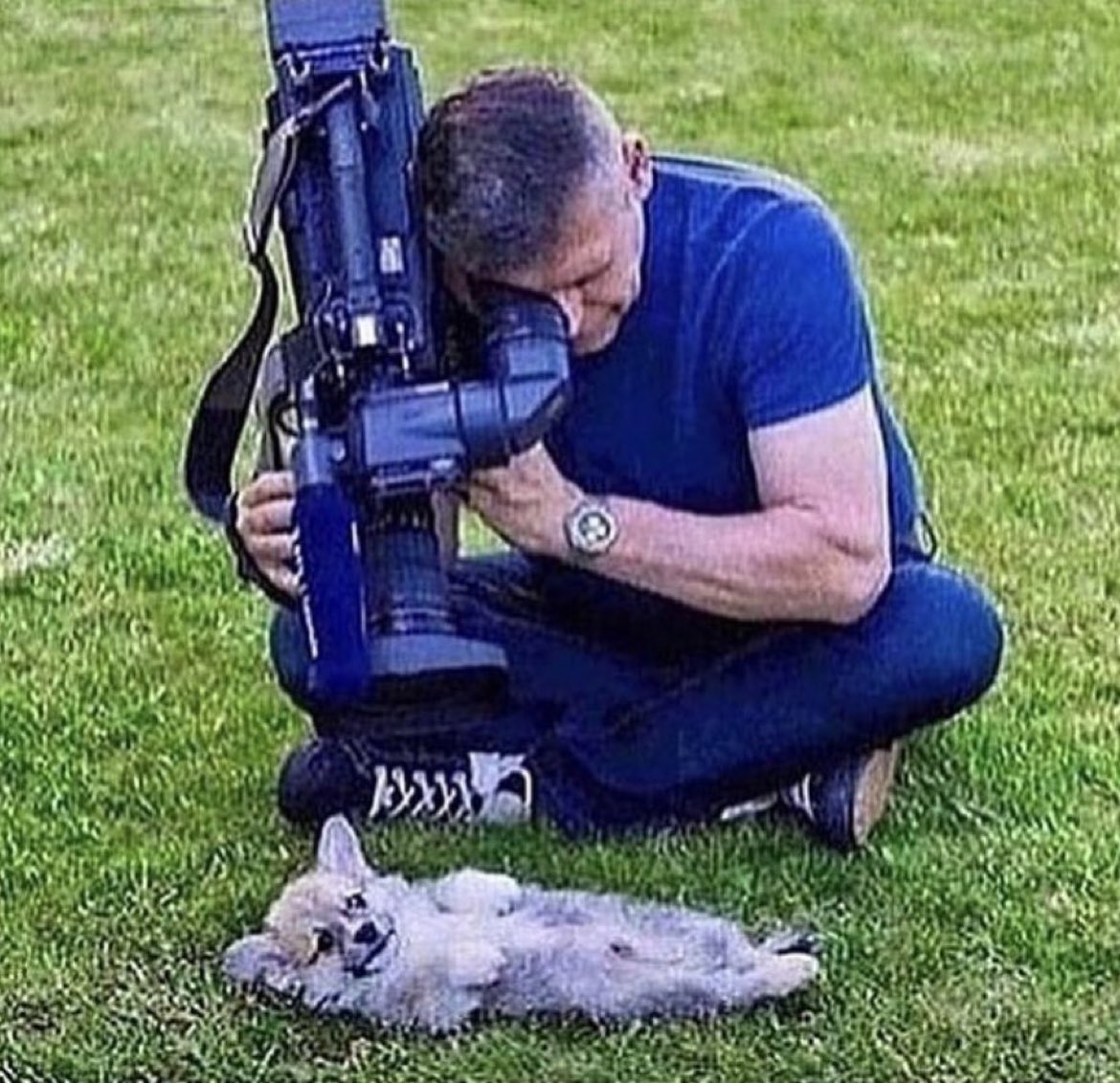 yo cuando mi perro hace literalmente lo más mínimo