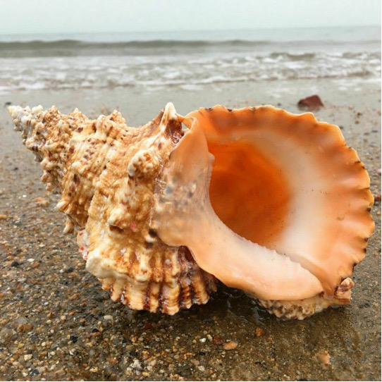 Rupert Wegerif (@rupertwegerif) on Twitter photo A blog on what education ought really to be about - turning the outside inside - and how tech and ChatGPT can help with this. <a href="/CEDiR_Group/">CEDiR</a> <a href="/OracyCambridge/">Oracy Cambridge</a> <a href="/DEFI_Cambridge/">DEFICambridge Digital Education Futures Initiative</a> <a href="/icasebourne/">Dr Imogen Casebourne</a> <a href="/mwjtweet/">Mark Johnson</a> <a href="/GubernatorHomo/">Steve Watson</a>
rupertwegerif.name/blog/education⦠A blog on what education ought really to be about - turning the outside inside - and how tech and ChatGPT can help with this. <a href="/CEDiR_Group/">CEDiR</a> <a href="/OracyCambridge/">Oracy Cambridge</a> <a href="/DEFI_Cambridge/">DEFICambridge Digital Education Futures Initiative</a> <a href="/icasebourne/">Dr Imogen Casebourne</a> <a href="/mwjtweet/">Mark Johnson</a> <a href="/GubernatorHomo/">Steve Watson</a>
rupertwegerif.name/blog/educationā¦