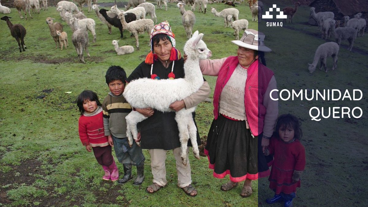 peru_sumaq's tweet photo. La comunidad Quero y la comunidad Huilloc son de las últimas sociedades andinas incas que habitan en Cuzco, Perú. #ComunidadQuero #Huilloc #peru https://t.co/vCFmJi7iKB