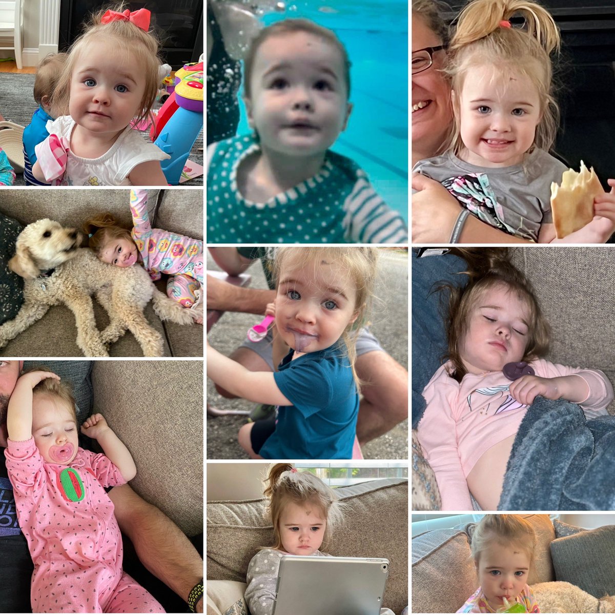 Kent Taylor tweet media