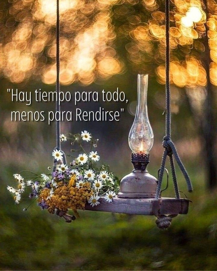 Maritza Cordoba (@maritzacordob18) on Twitter photo 