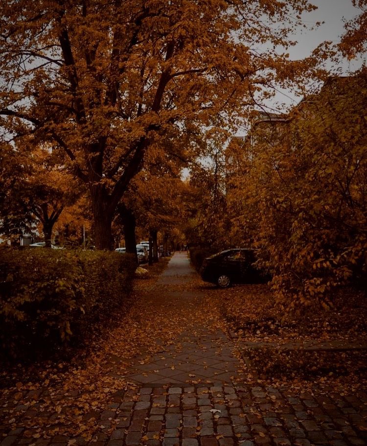 aperfectpumpkin's tweet photo. https://t.co/w2pJXmiWON