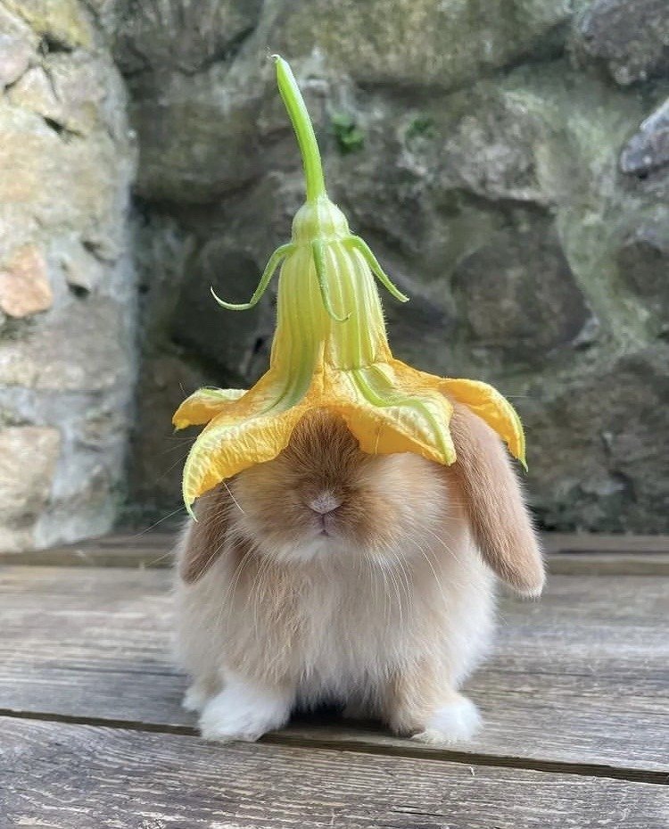 lovesickdoe's tweet photo. bunny flower hat https://t.co/jICyILgH0t