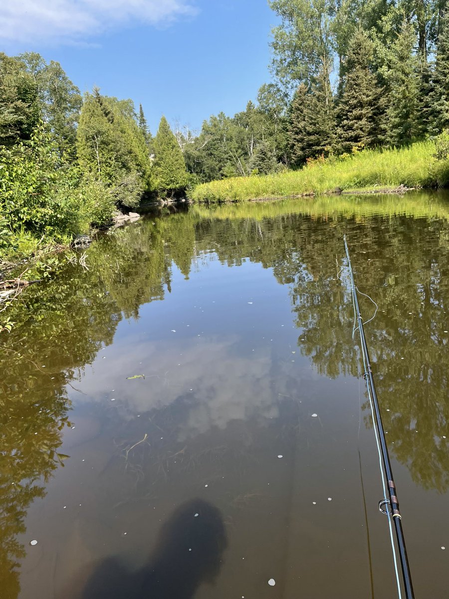 JM Kelly tweet media