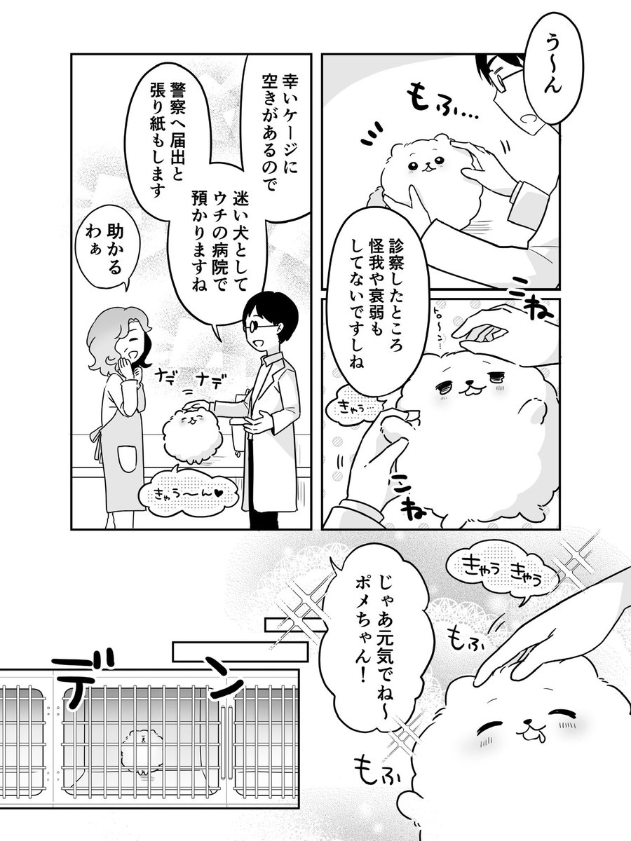 pomeranianX's tweet photo. 「遊星からのポメラニアンX」第二話🐶1/2 https://t.co/yA4AYmjdWv