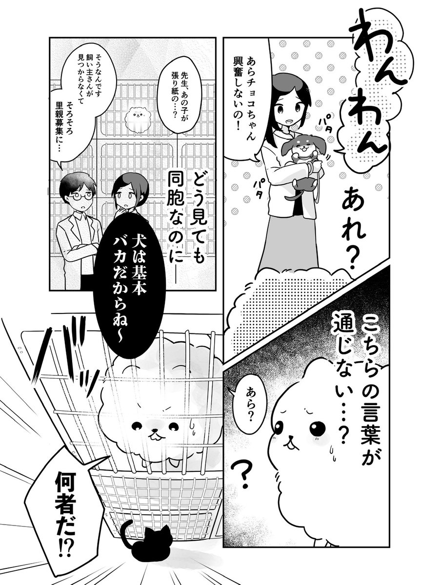pomeranianX's tweet photo. 2/2 https://t.co/sZH8aHxS42