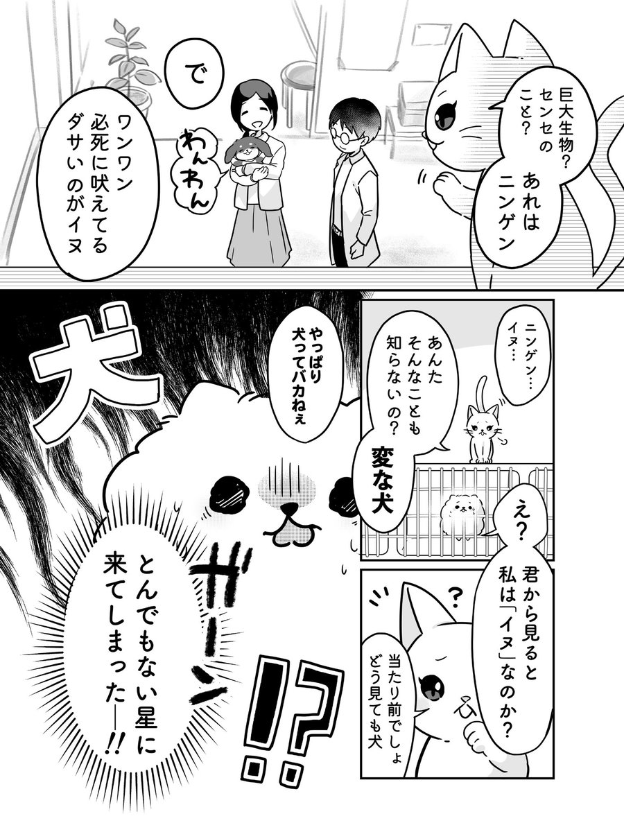 pomeranianX's tweet photo. 2/2 https://t.co/sZH8aHxS42