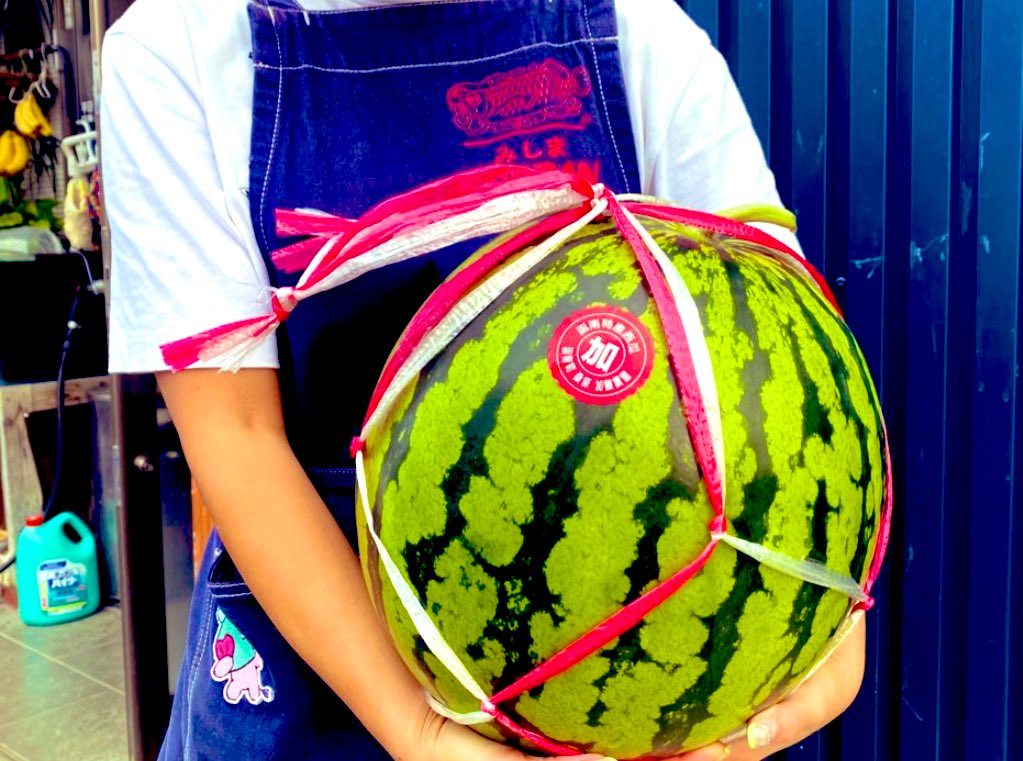 kazuking_wh's tweet photo. 暑い日が続きます…
と言う事で！！プレゼント企画🎁

箱根の豊かで水捌けの良い土壌で育った加藤農園の特大スイカを2名様にプレゼント！！

フォロー・リツイート・いいねよろしくお願いします♪
コメントくれたら応募完了です🤗
フォローはどうでもいいや👌

期限は8月13日23時59分までです♪ https://t.co/8lwFUeoYQV