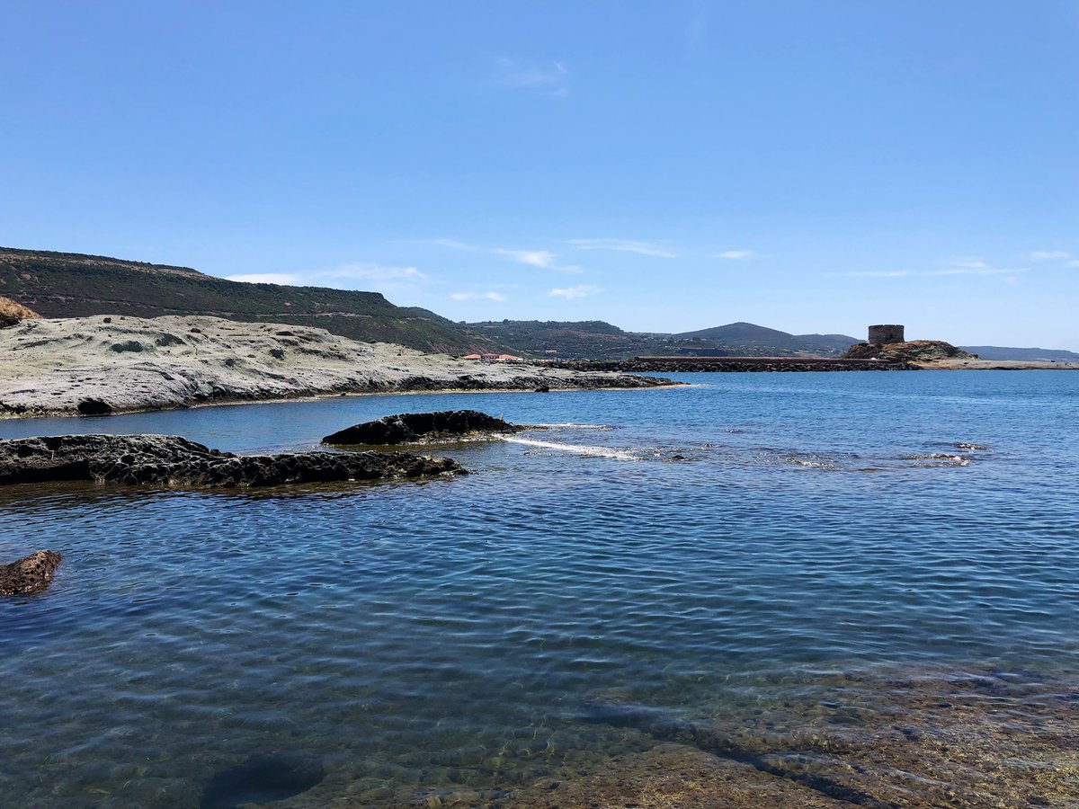 Il_Billa's tweet photo. #Day3 #Bosa #CaneMalu 
#SardegnaBillasTour2023 https://t.co/EPuivdSMFm