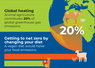 vivacampaigns's tweet photo. Go vegan to reduce your impact on the planet 🌍 🌱 

#climate #govegan https://t.co/M02SN4B6h3