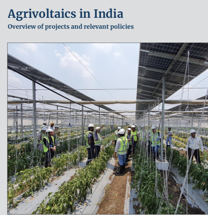 StefWenzel's tweet photo. This report offers a thorough analysis of #agrivoltaics in #India, providing a comprehensive overview of 22 operational projects and 3 upcoming pilot projects. It is very interesting also as #bestpractice for many other countries | IGEF NSEFI #Solar #AgriPV | thread 1/x https://t.co/KVUMaCU7tI