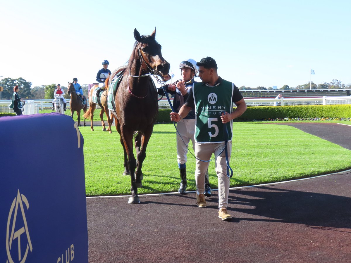 Elizabeth Spratt tweet media