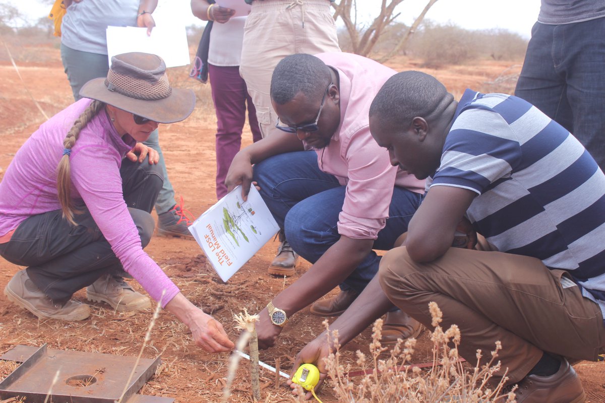 lawinowiecki's tweet photo. Fantastic to see such commitment to generate evidence for #rangeland #restoration &amp; #SoilHealth  during the @GCF #Twende workshop.
@ICRAF highlighted the utility of the LDSF: https://t.co/dqAyF1SpvO

@MaasaiWild @biglifeafrica @kilimoKE @ConservationOrg @IUCN @justdiggit https://t.co/A1MxnTRFh6