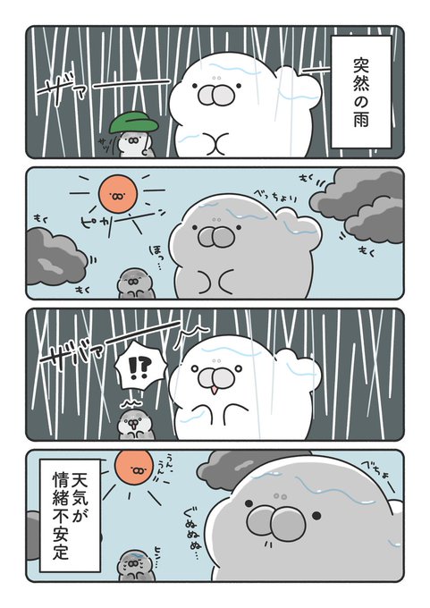 天気が情緒不安定すぎる☀️☔️( ˙ ꒳ ˙ ) | もちたぷあざらし