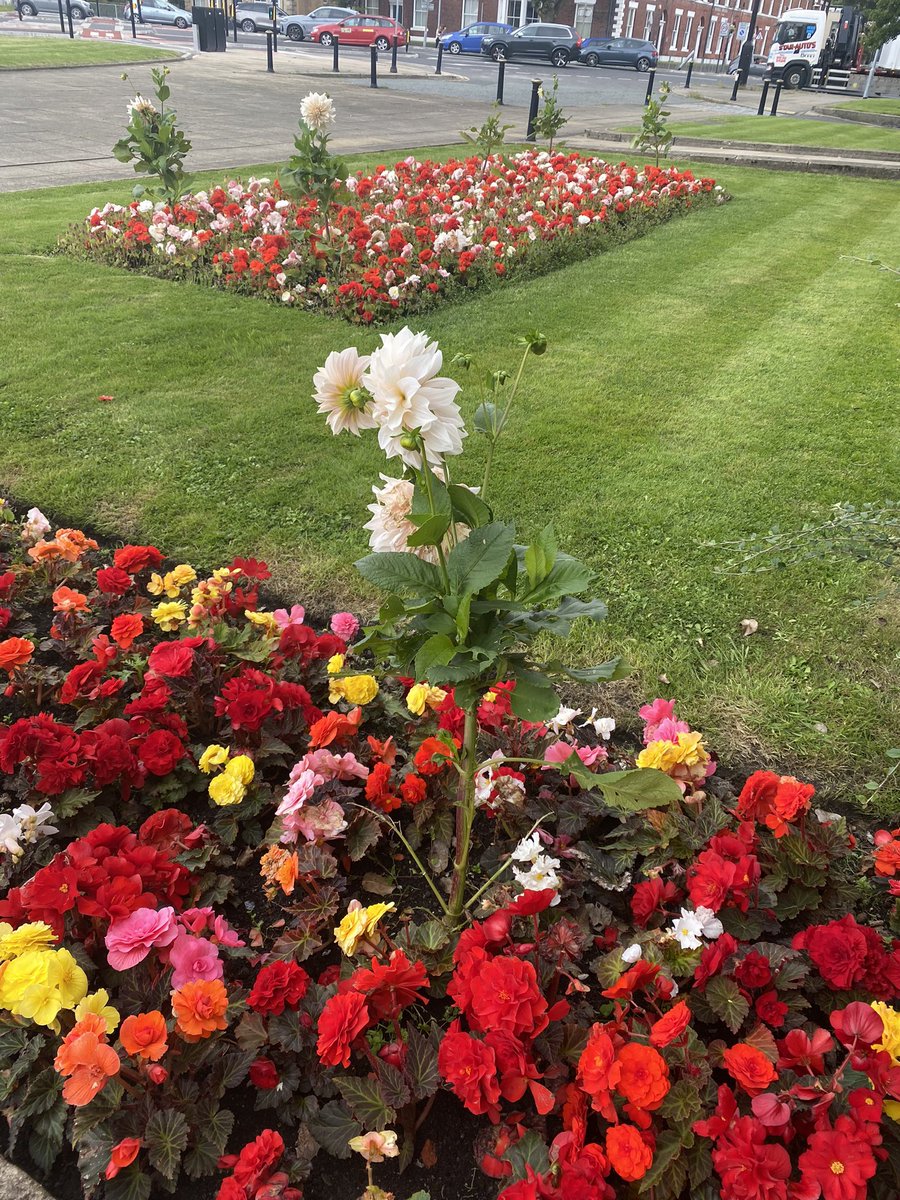 STARProcurement's tweet photo. @BuryCouncil town hall looking beautiful with this array of colour outside 🌺🌸🌼 https://t.co/WGwZSbtQMW