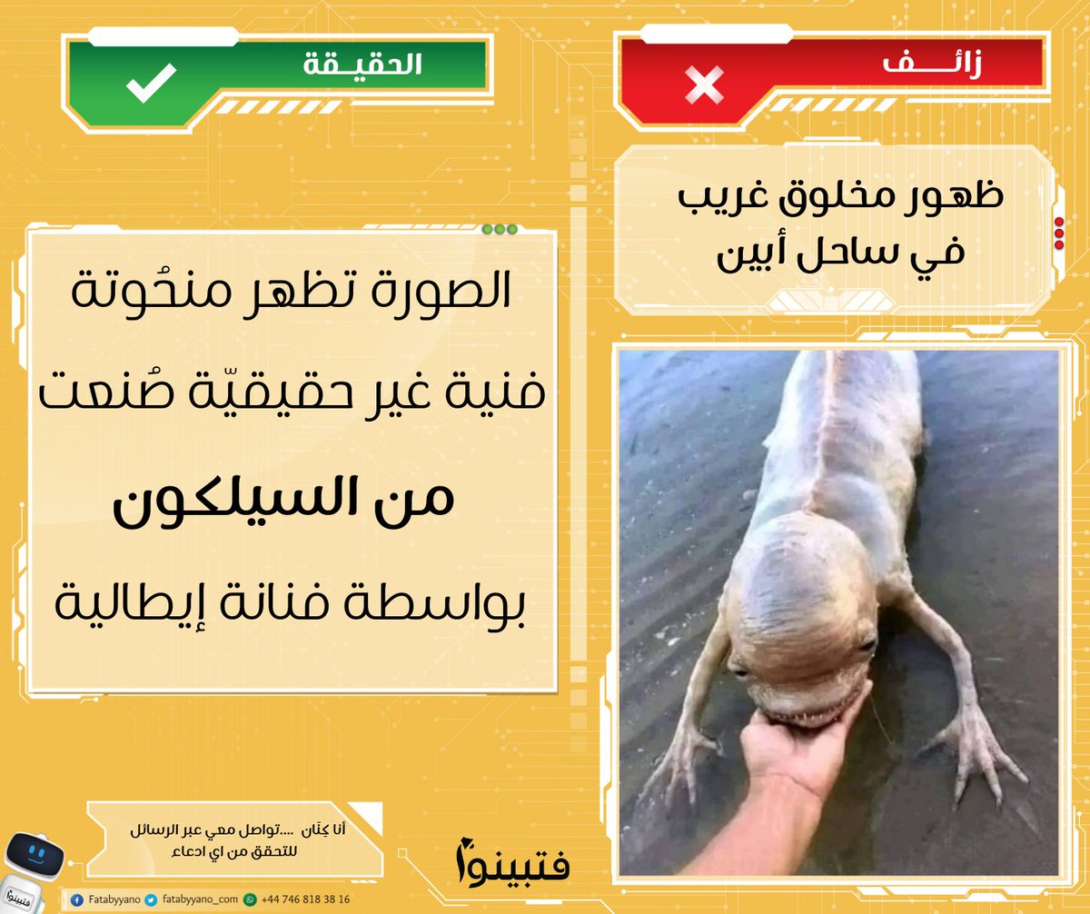 Fatabyyano Platform - منصة فتبينوا tweet media