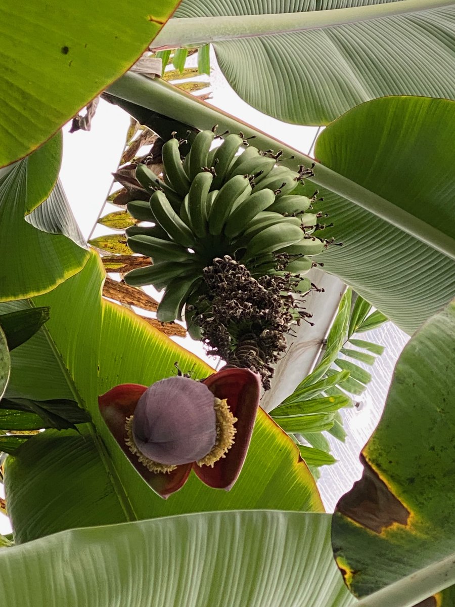 Science Museerne tweet media