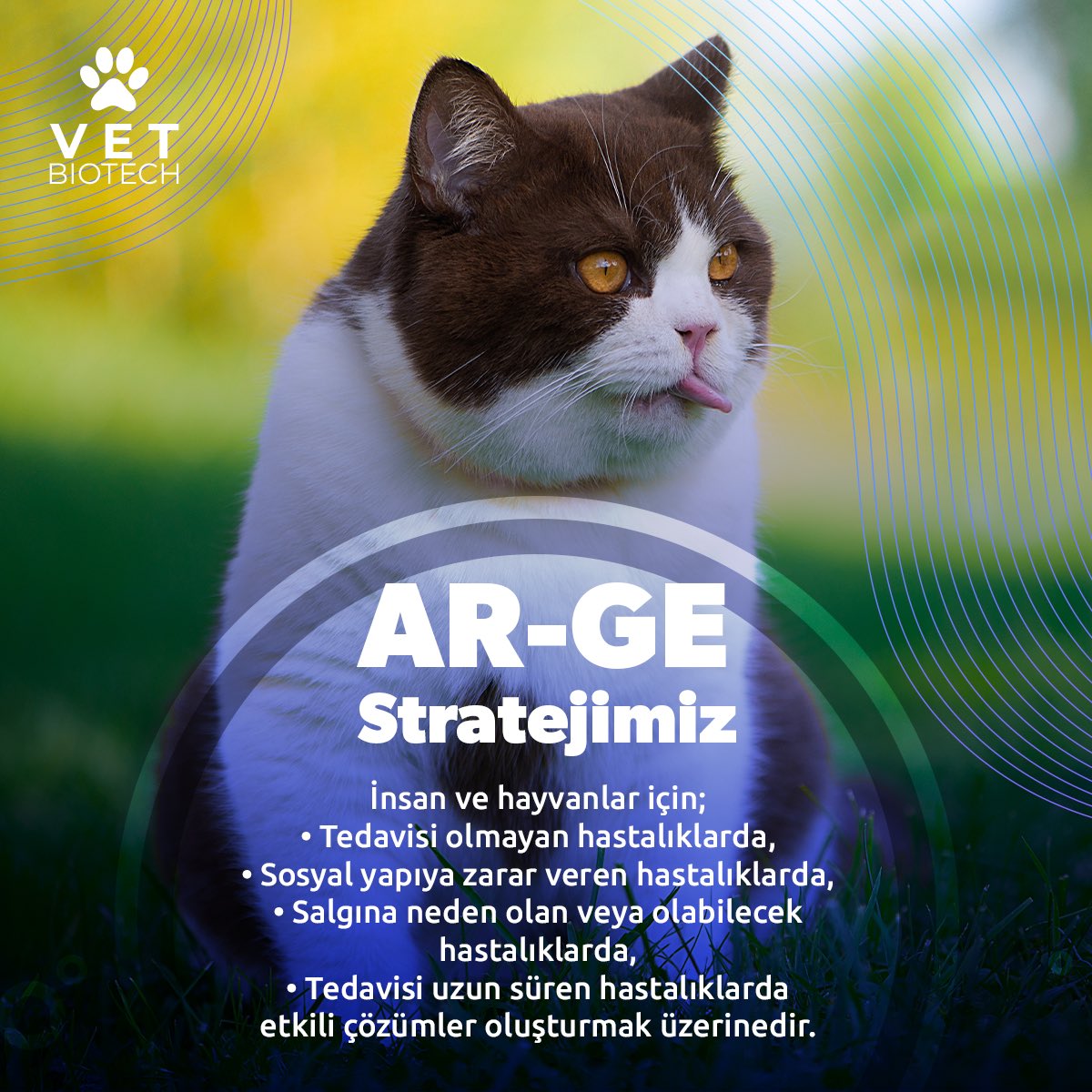 🌟 We're shedding light not only on COVID-19 but also on other infectious diseases!

🔬 With Quantum Treatment Technologies, we scientifically prove our dedication to human and animal health.

🌎 Our goal is to expand the global reach of this new treatment system.

#QuantumHealth