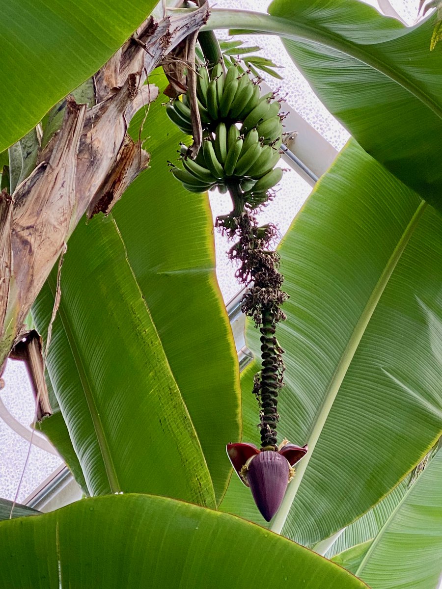 Science Museerne tweet media