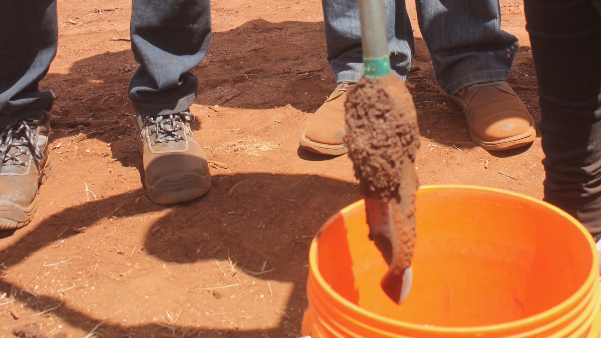 lawinowiecki's tweet photo. Fantastic to see such commitment to generate evidence for #rangeland #restoration &amp; #SoilHealth  during the @GCF #Twende workshop.
@ICRAF highlighted the utility of the LDSF: https://t.co/dqAyF1SpvO

@MaasaiWild @biglifeafrica @kilimoKE @ConservationOrg @IUCN @justdiggit https://t.co/A1MxnTRFh6