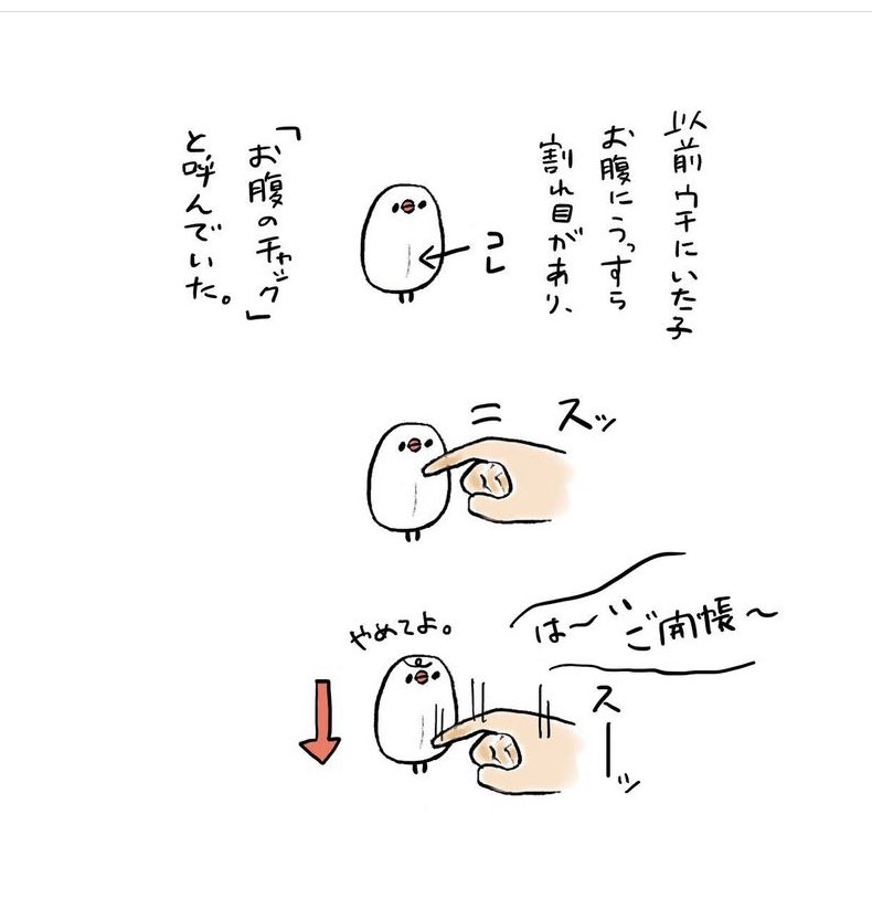 明日も20〜21時にイラスト投稿します🐦💨
『お腹のチャック』(再掲) 