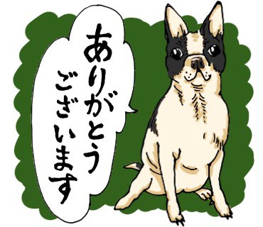 LIHUA02874633's tweet photo. 今日のワンコ。

https://t.co/2mTasQhmKq

#犬　#ワンコ #ボストンテリア #ありがとうございます #犬イラスト #犬のLINEスタンプ #LINEスタンプクリエーター #LINEスタンプオーダー #ペットイラスト https://t.co/G3n2XIwSXv