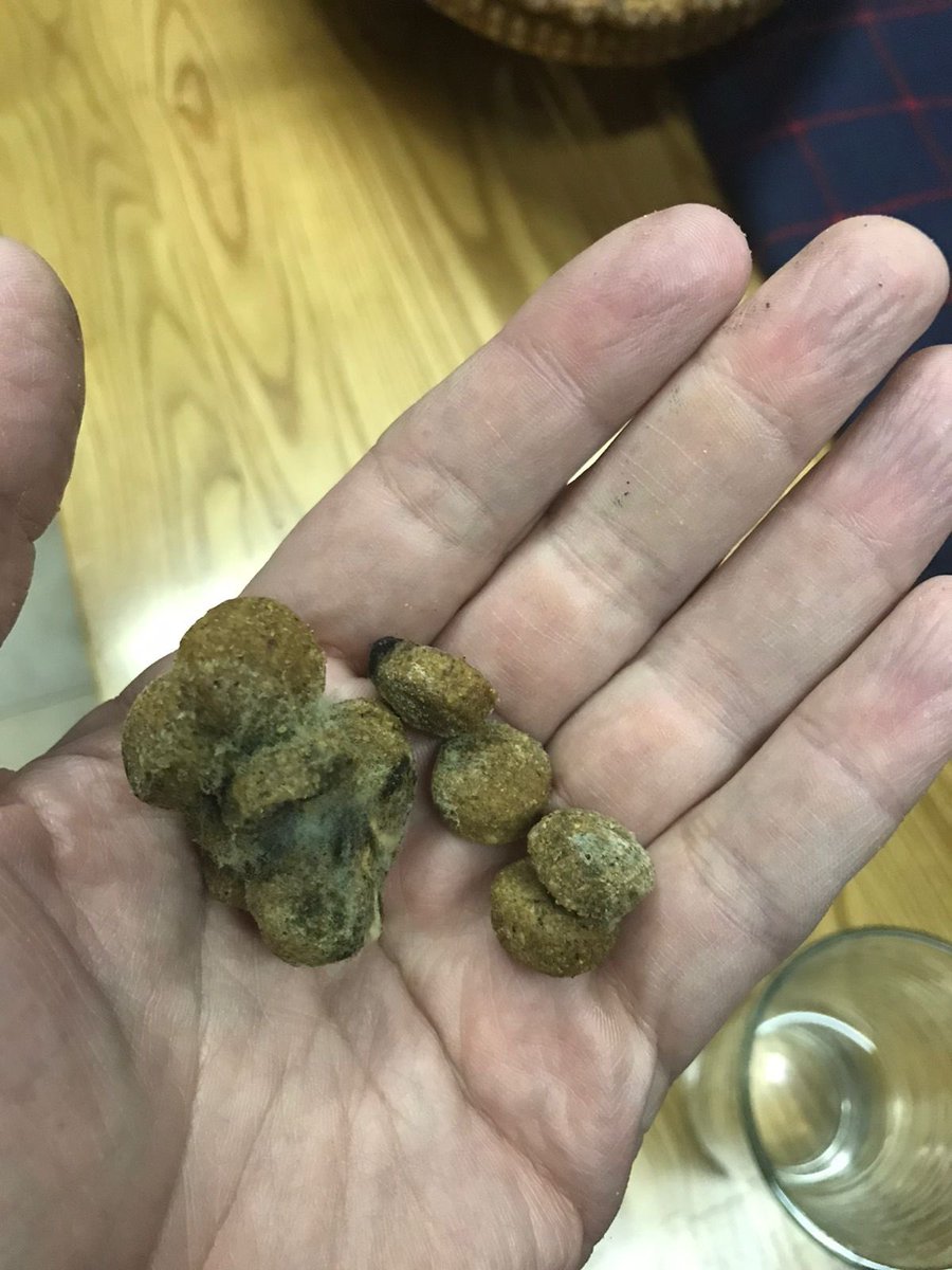 VickyDorothy's tweet photo. @EukanubaAr ayer a la noche compré un alimento suyo. Al abrirlo me encontré que tenía hongos. Un asco. Con quien debo de contactarme? https://t.co/EVUJoqzeiG