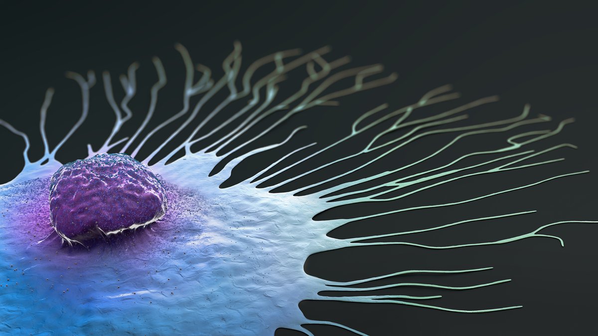 ATCC_LGC's tweet photo. A study in @nature used #Organoids to unravel the evolution of #BreastCancer and precursor lesions 🌟

Learn more about the discoveries in @NewsMedical: https://t.co/xpfMyNYh5n

#OrganoidPower https://t.co/zmtYl8n39S