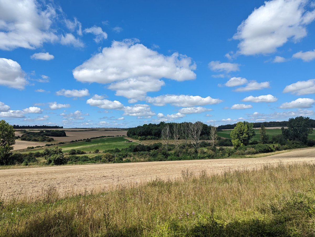 MDSuperCluster's tweet image. A glorious day for butterfly surveys! The MD &amp;amp; Allenford #FarmerCluster (2/3 Supercluster) are self-funded by farmers &amp;amp; have been recording biological data since 2013, to measure success and species recovery. #DataIsKey 
Alone we can only do so much, together we can achieve more!