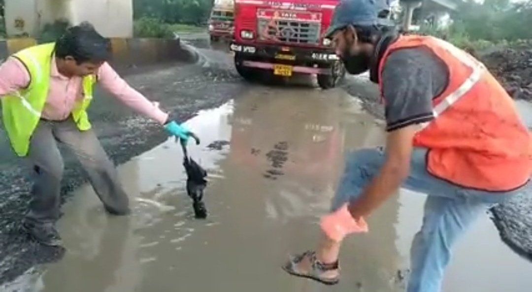 PotholeWarriors's tweet photo. @fpjindia @ChuevaraMa40693 @rajesh_j4u @cerebralniksk @MNCDFbombay @mybmc @mumbaimatterz @RoadsOfMumbai contest was for biggest n deepest pothole pic..
n we emailed biggest n deepest pothole pic. but not won . y?
#GiantPothole
Freeway express wadala
5ft by 5ft n 1ft deep
@fpjindia check this. n reannounce winners pls https://t.co/QRmupwsJWM