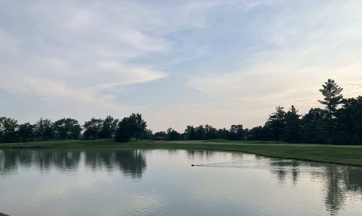 Dan Sliasas tweet media