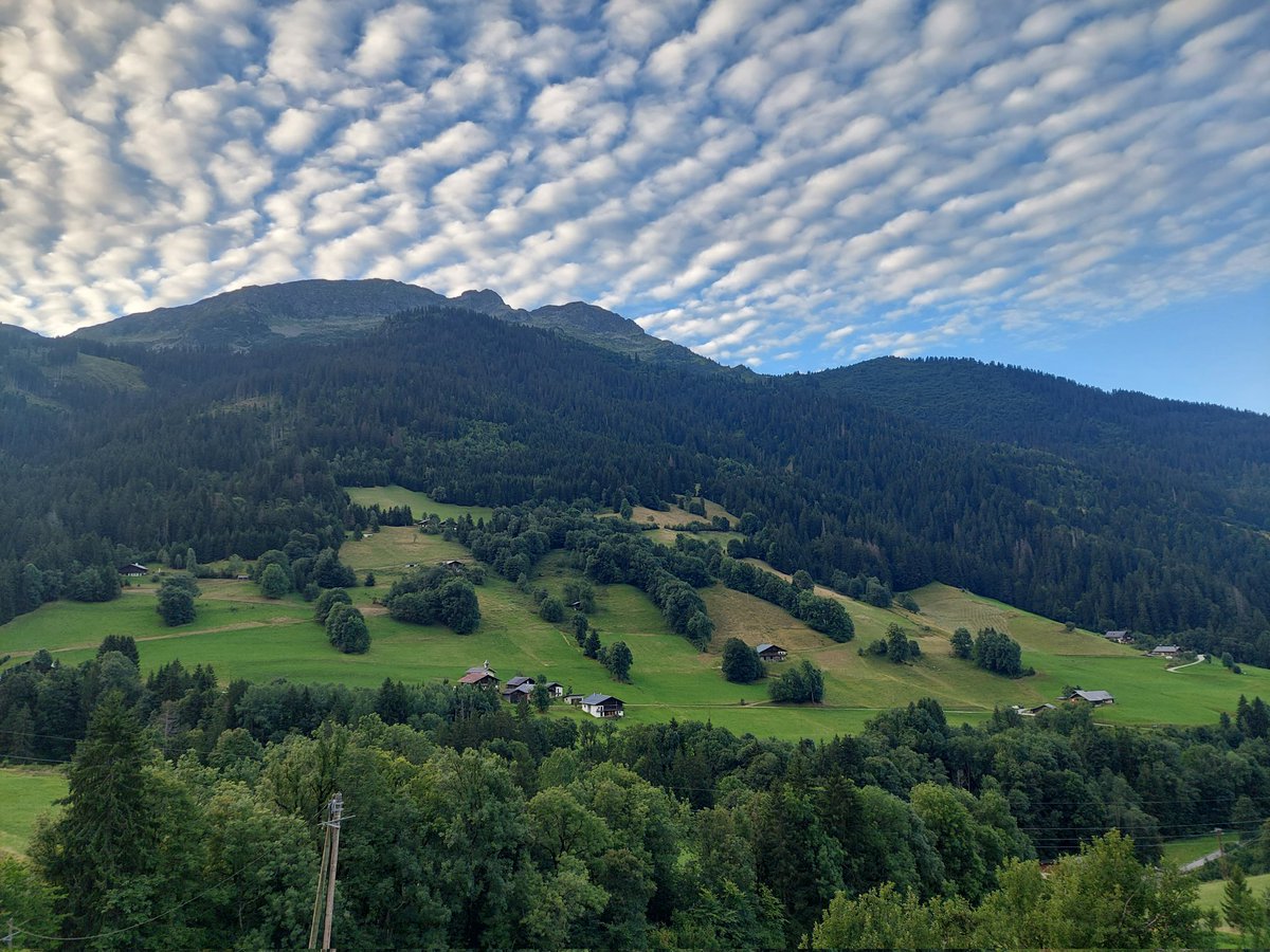 Deville Cavellin Patrick (@cavellinpatrick) on Twitter photo 