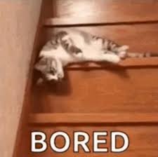 gm ☕ to everyone who thinks CX is boring af rn x