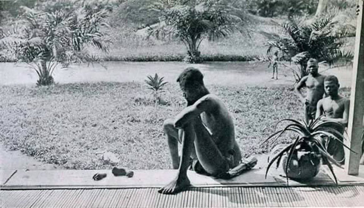 Un hombre congoleño observa la mano y el pie cercenados de su hija de cinco años, mutilada y asesinada por los colonizadores belgas después de que no cumpliera con la cuota de extracción de caucho.

La fotografía fue tomada por Alice Seeley Harris y su esposo, quienes eran