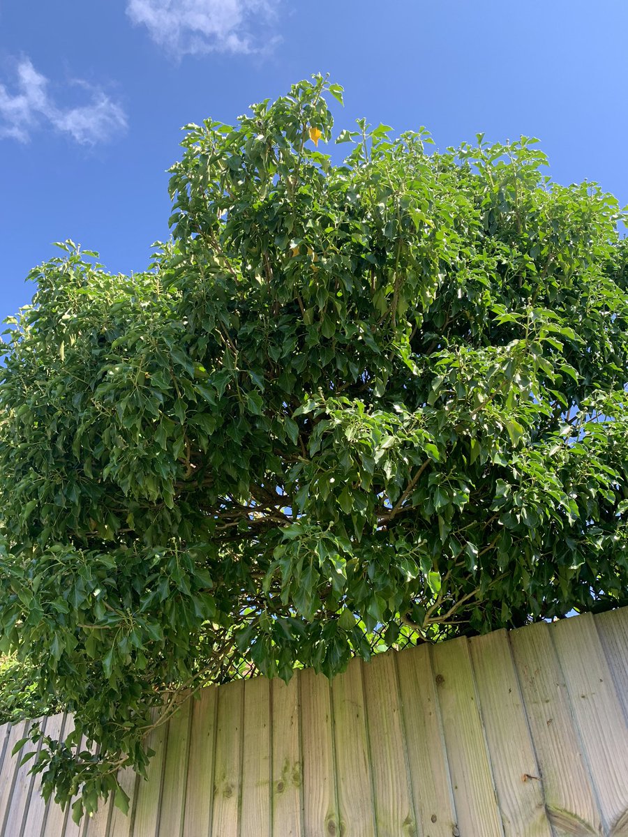 EcoHomesDirect's tweet photo. Taking care of the environment is important because it helps to preserve our planet for future generations.🌳We can help by reducing waste, conserving energy, and using eco-friendly products. Reducing waste, we can help prevent pollution protecting natural habitats. #Ecofriendly https://t.co/19NBsx0hwf