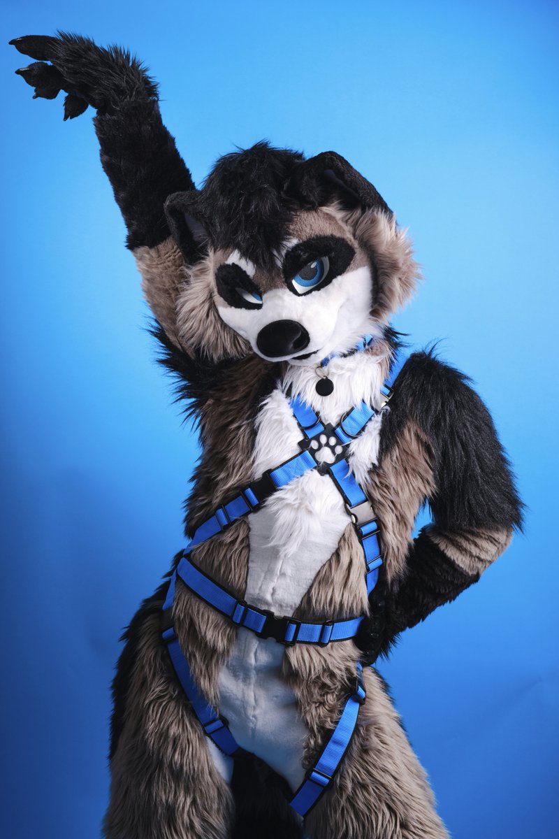 Roon 🏳️‍🌈 tweet media