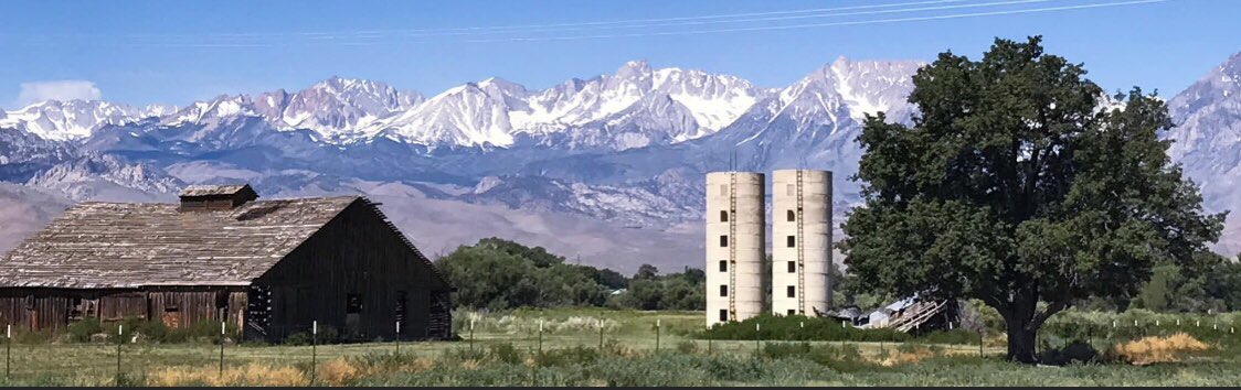 Professor Don Pate tweet media