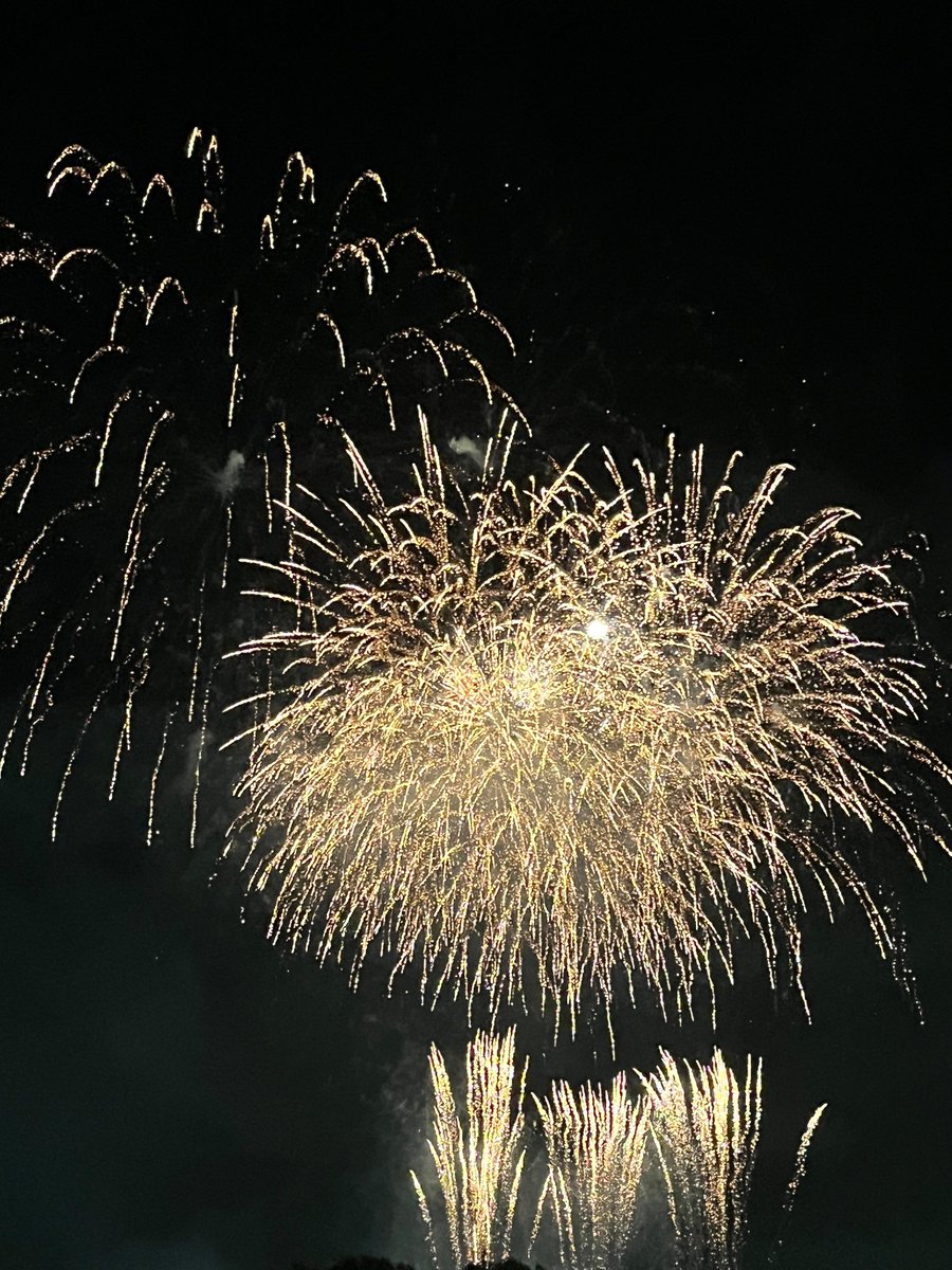 fireworks no humans aerial fireworks night black background monochrome traditional media general  illustration images