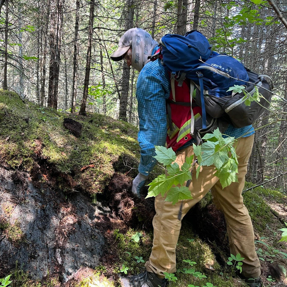 We had so much fun last rotation finding gossan in the west and unearthing secrets east of McKinnon that we're back at it again. Rotation 3 is well underway and is about digging deeper into the mysteries of the Hawkins Project! #GeologyLife
