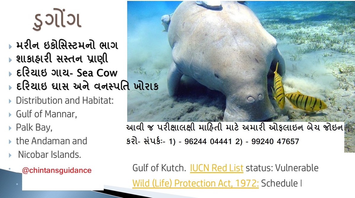 ChintanVyas005's tweet photo. ફોરેસ્ટ ગાર્ડ પરીક્ષા 2023
Join our offline batch
For registration: 
96244 04441
99240 47657

#forest #forestguard #forestexam #gpsc #gsssb #gpssb #govtexam #gujaratforest #2023 #forest2023 #vanrakshak #Target #bitguard #forester #gujaratforestexam #batch https://t.co/S9cVUetKdJ