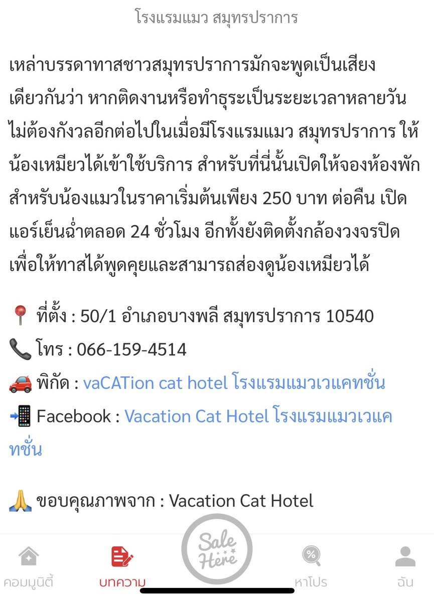 Ffffhai /ᐠ •̤ ༝ •̤ﾏ tweet media