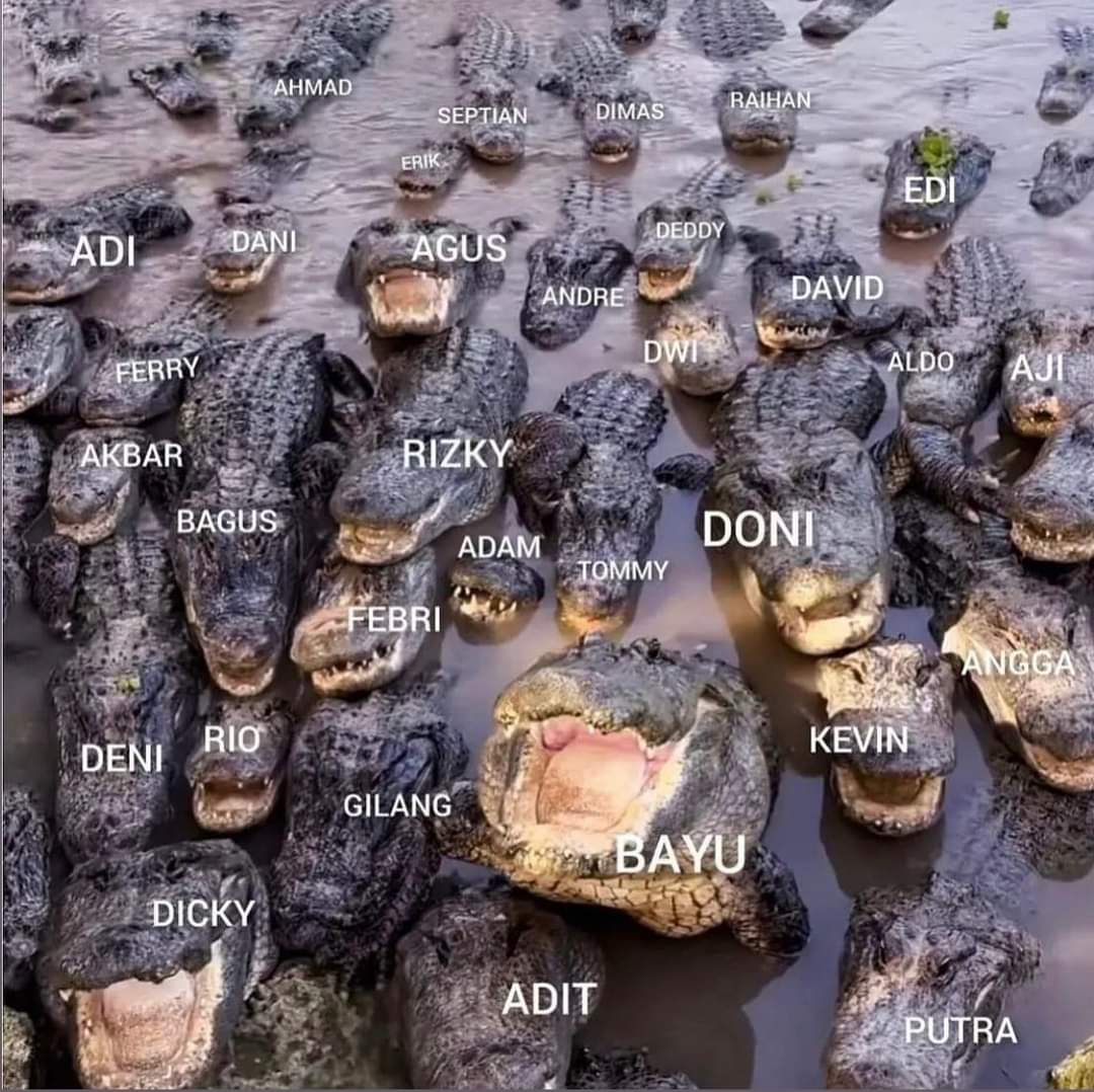 Ritchie iRisk.id tweet media